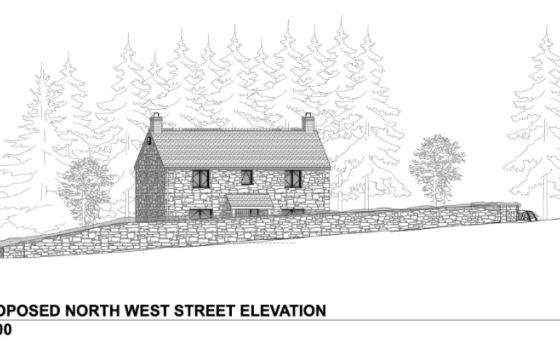 Selfbuild Plot for sale in Crowntown photo